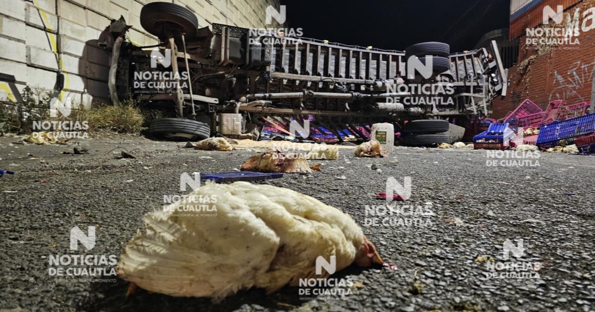 Deja volcadura de camión cientos de pollos muertos en Cuautla