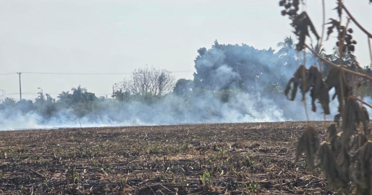 Quema De Pastizales Y De Basura Afectan La Salud Noticias De Cuautla