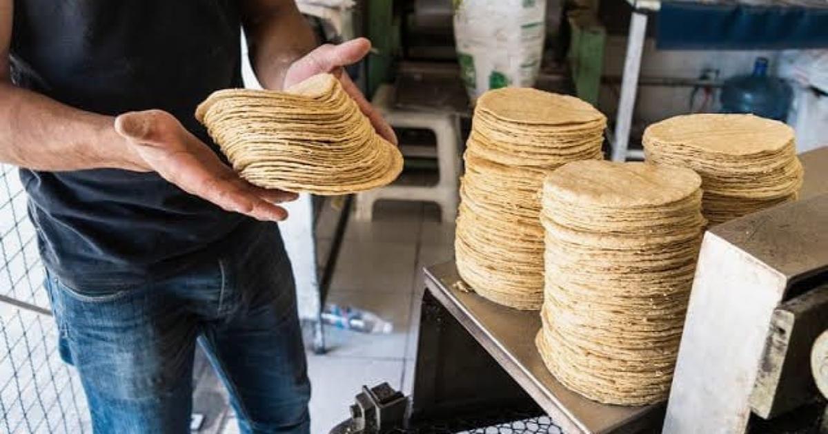 Incertidumbre en precio del kilo de tortilla para el 2024 Noticias de