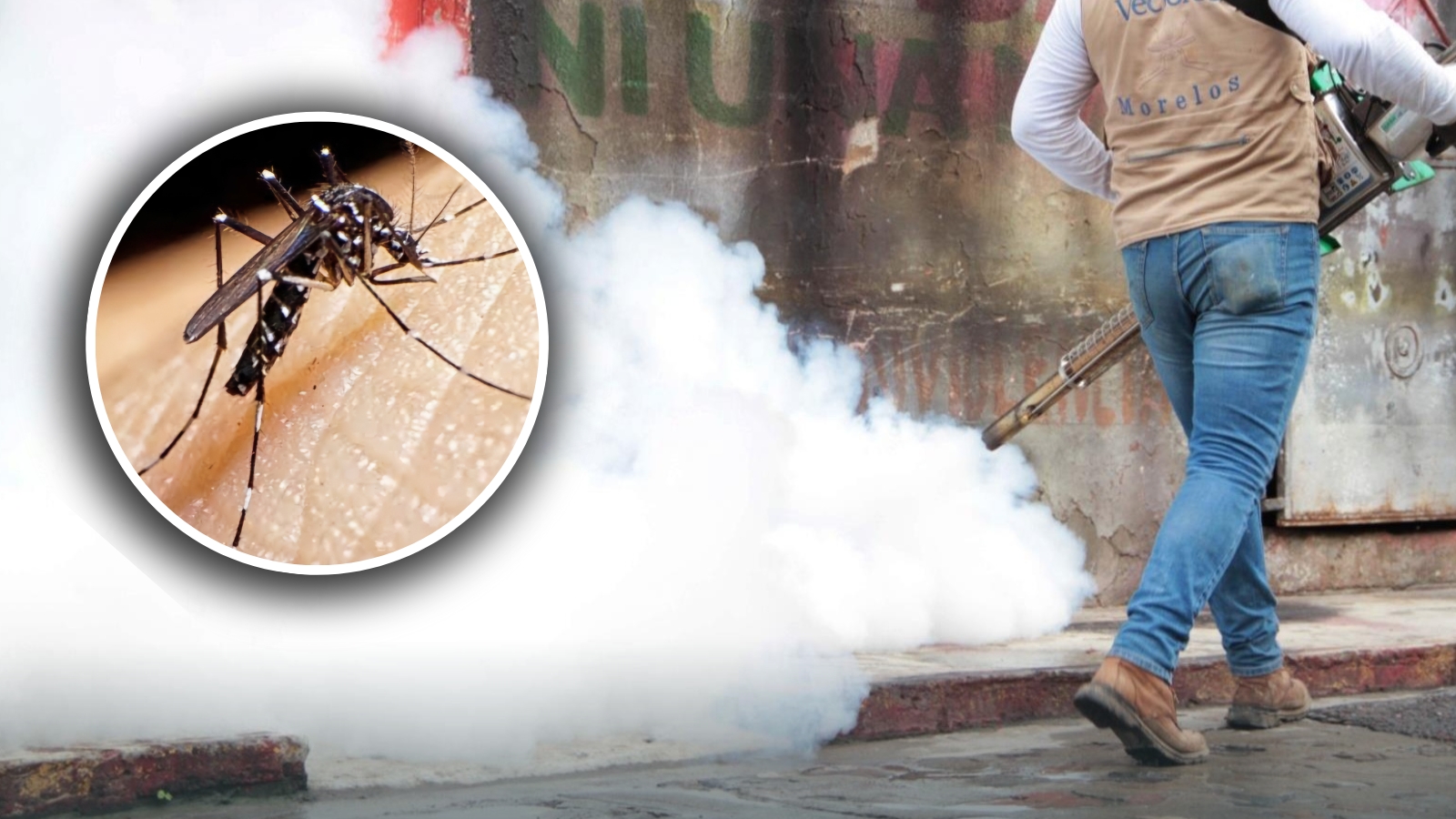 Le apuesta Cuautla a la promoción y prevención del dengue