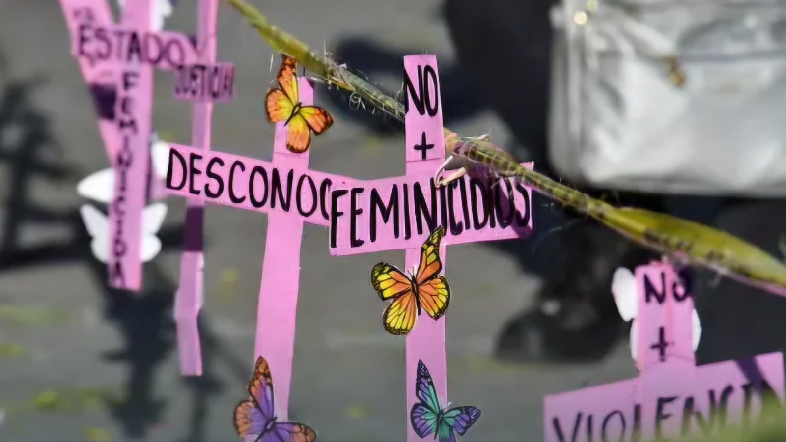 Fueron 143 feminicidos en el 2024