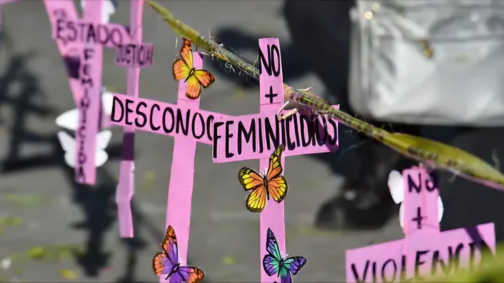 Suman en Morelos 15 feminicidios en lo que va del año