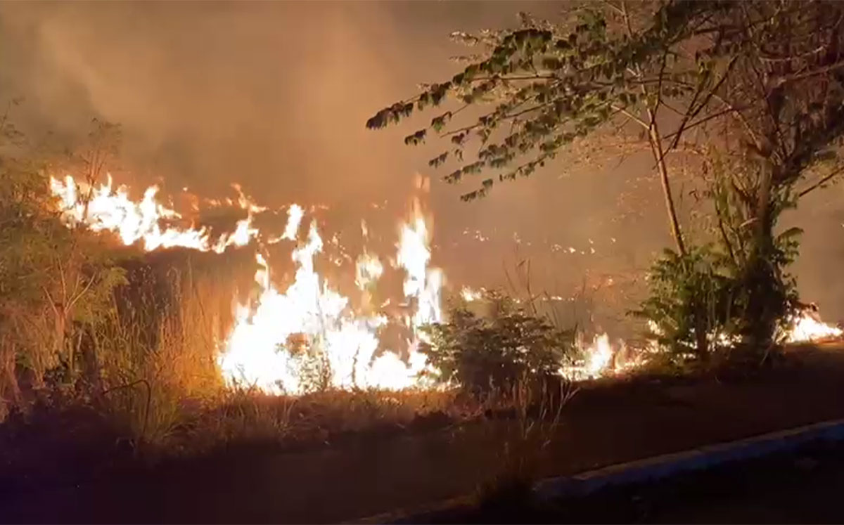 Se incrementan incendios de pastizales, señalan Bomberos Cuautla