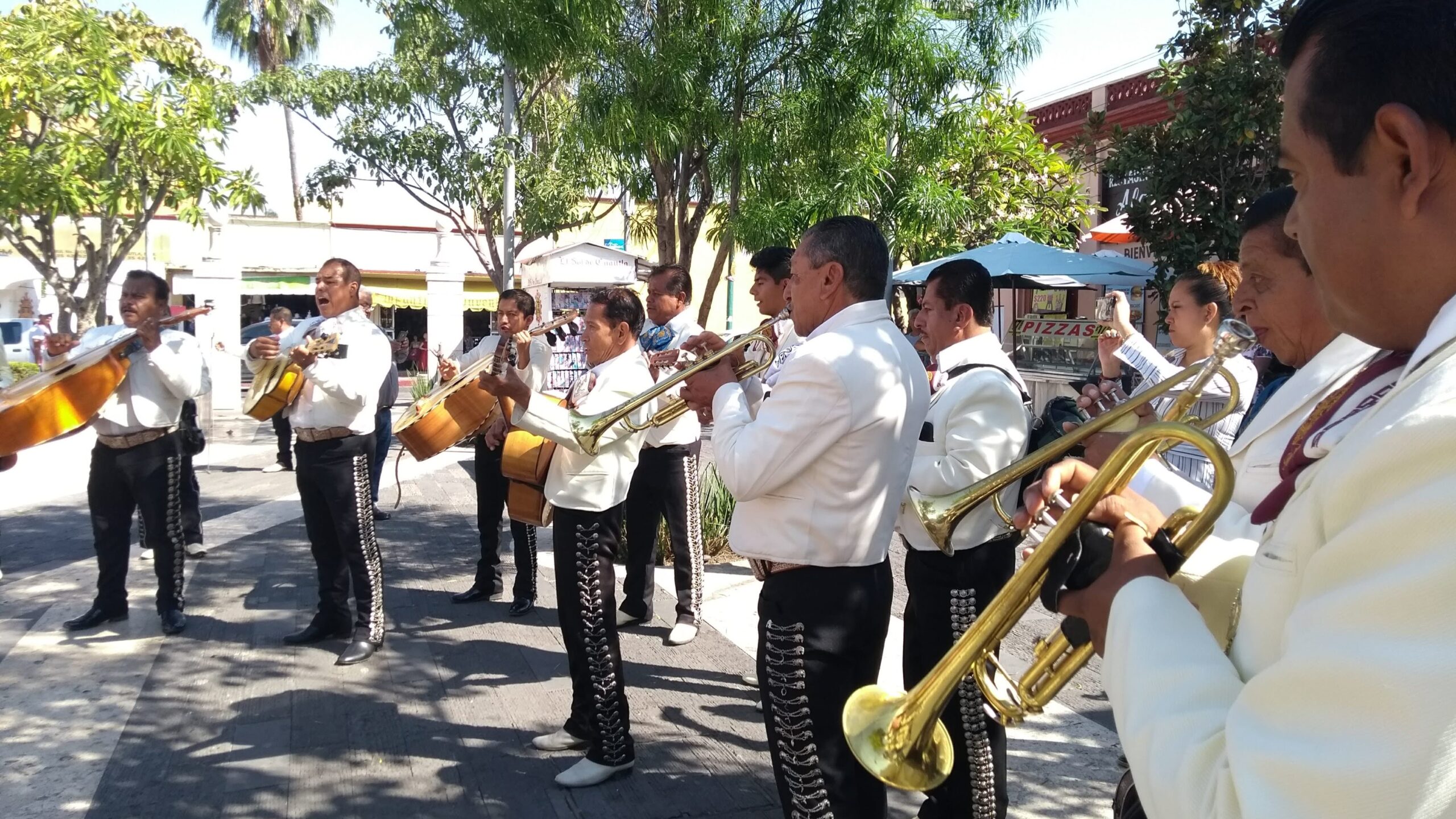 Desde 1,500 pesos una serenata para este 14 de febrero