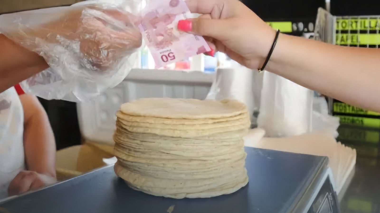 Industriales de la Masa y la Tortilla no descartan aumento en kilo de tortillas