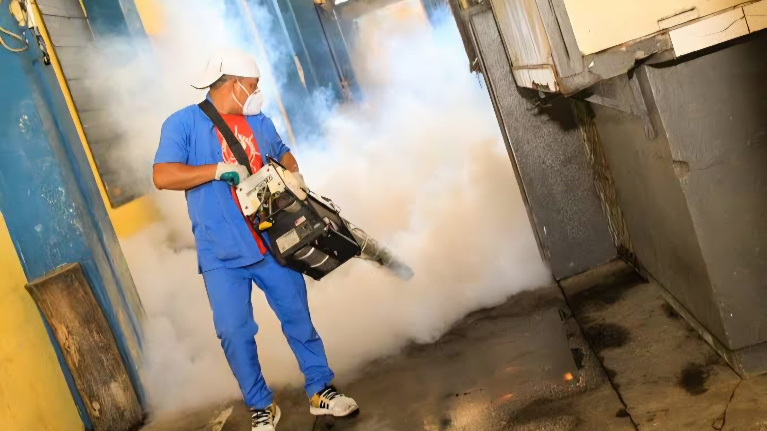 Fumigarán mercados y tianguis en Cuautla para acabar con fauna nociva